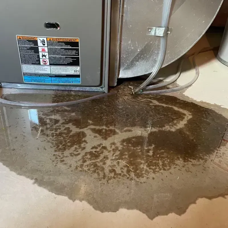 Appliance Leak Cleanup in Owensboro, KY